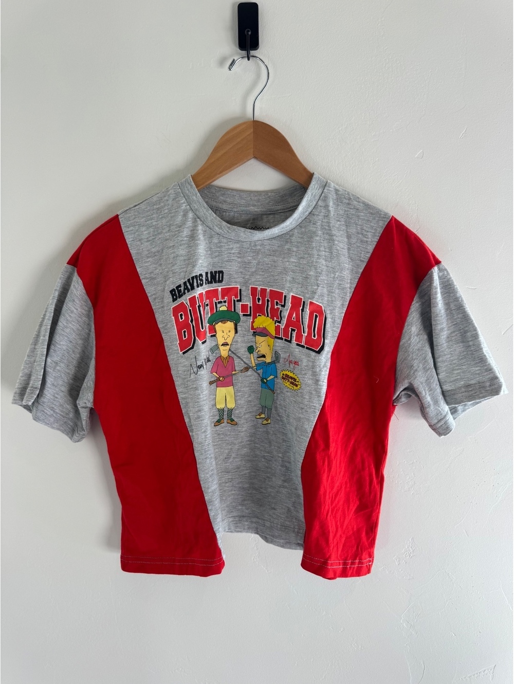 Beavis and Butt-Head Cropped Colorblock Graphic T-Shirt Size M/L